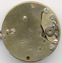 AHS 53 Günter G.: AHS 53