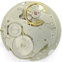 Peter Kern: Baumgartner 582 (skelettiert)