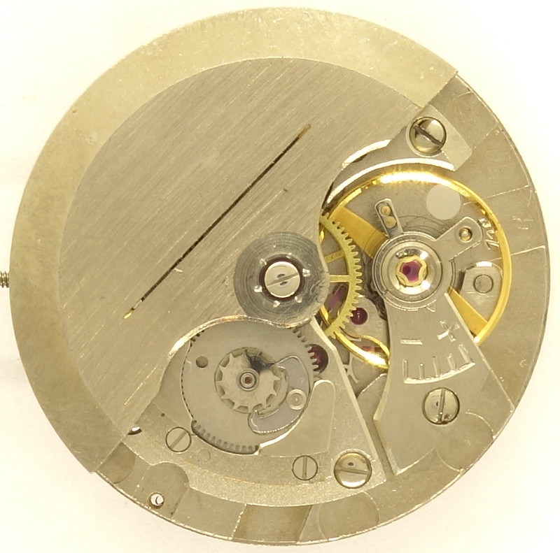 Bifora 114 Bifora 114 |