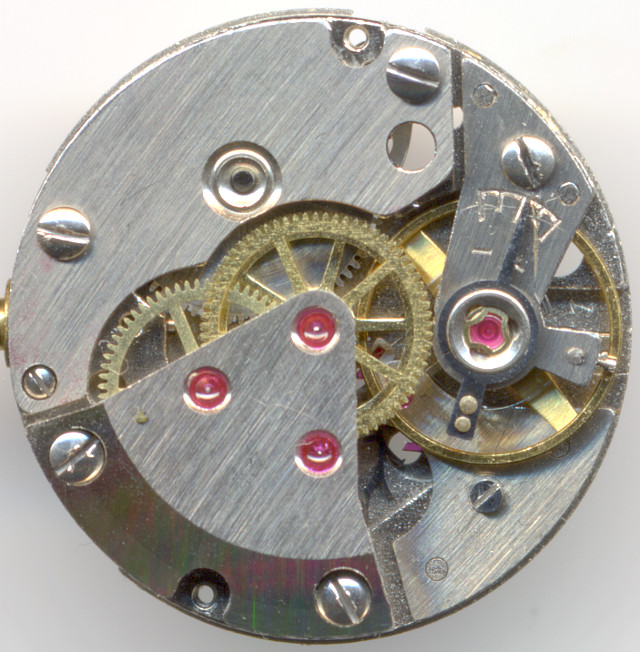 Bifora 81 Bifora 81 |