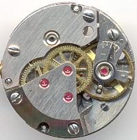 Bifora 81 Erwin: Bifora 81